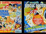 Photo 6/47 du lot