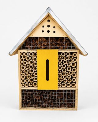 un gros plan d'une ruche avec une porte jaune