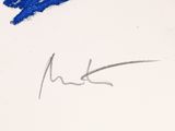 Photo 16/22 du lot