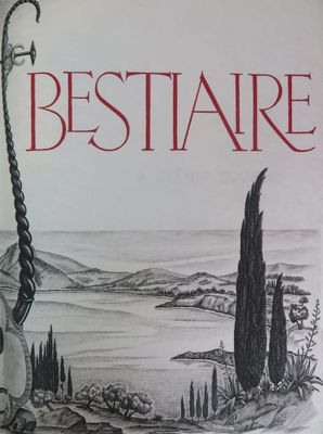 la couverture d'un livre sur laquelle figure le dessin d'une guitare