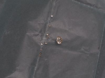 Diamant sur papier taille coussin calibrant environ 0.5 cara…