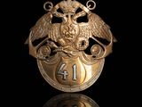 an image of a gold plated badge with an eagle on it