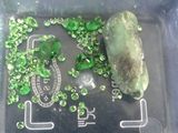 a rock and some green stones in a plastic container