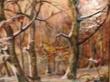a picture of a painting of a winter scene on the wall