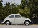 a white vw beetle parked on the side of the road