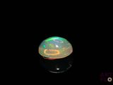 an oplite in the dark with a black background