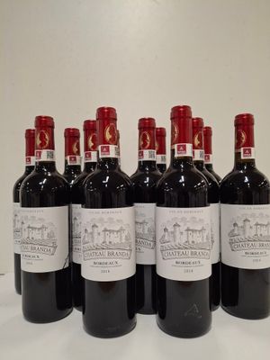 12 Bouteilles Château Branda 2018 Grand vin de Bordeaux Domaine SAS de - Photo 1