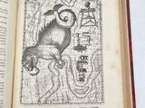 an open book with a drawing of a monkey on it