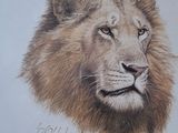 dessin représentant une tête de lion sur une feuille de papier posée sur une table