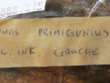 a piece of bread wrapped in plastic with a label on it