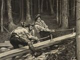 many men working on a log in the woods