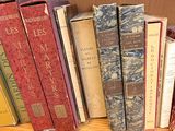 de nombreux livres qui se trouvent sur une étagère dans la pièce