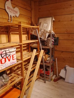 a room with shelves and a ladder in it