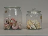two glass jars with shells in them on a table