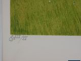 a picture of a picture of sheep in a field of grass