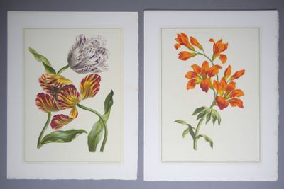 Deux tableaux représentant des fleurs sont accrochés au mur d'une pièce.