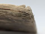 close up of a piece of driftwood on a white surface