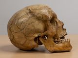an old human skull sitting on top of a wooden table