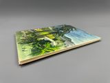 a picture of a book with a painting on it