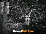an image of a deer that is looking at the camera