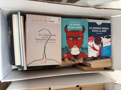 Un carton de livres brochés, littérature et romans.