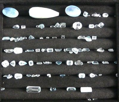 a display case with a lot of glass items in it