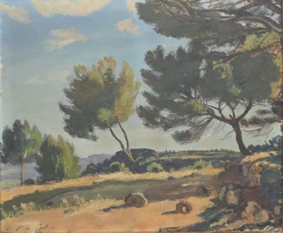 an image of a painting of a landscape with trees and rocks