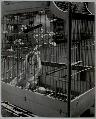 Ervin Marton* (Budapest 1912 - 1968 Paris)