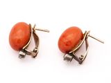 pair of coral and gold earrings on a white background