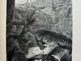 an image of a black and white drawing of birds flying over a river