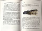 an open book with a drawing of a fly on it