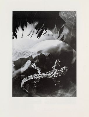 black and white photograph of a woman laying on a bed with feathers