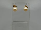 une paire de boucles d'oreilles en perles et en or, présentée dans un présentoir transparent