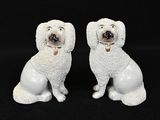 une paire de figurines de caniches en céramique blanche sur fond noir
