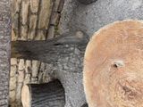 a log that has been cut in half and is sitting on the ground