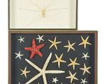 two starfishs and a starfish in a box on a white background
