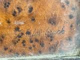 Photo 2/2 du lot