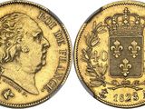 a gold sovereign coin with a crown on top of it