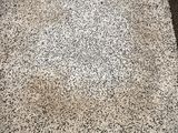 a white rug with black and white speckles on it
