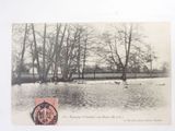 a postcard with a picture of ducks in the water