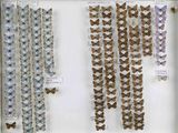 de nombreux papillons exposés dans une vitrine accrochée au mur