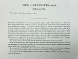 a close up of a text on a piece of paper