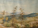 une photo d'un tableau représentant un paysage de montagne accroché au mur