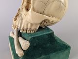 a skull and a crossbone sitting on a green base