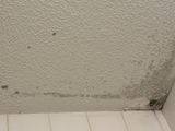 a picture of a bathroom with moldy walls and floor