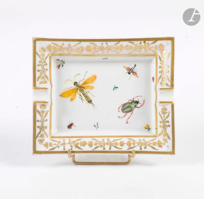 un gros plan d'une assiette sur laquelle se trouvent des insectes, posée sur une surface blanche