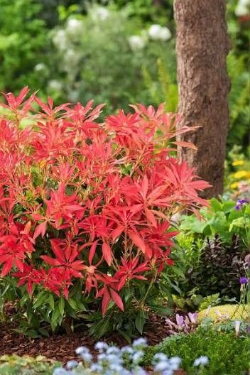 Destockage & Invendus