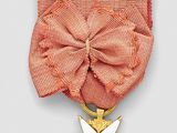 an image of a medal with a ribbon and a star on it