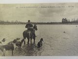 an old photo of a man riding a horse with dogs