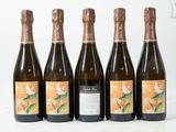 six bouteilles de vin sont alignées sur une surface blanche
